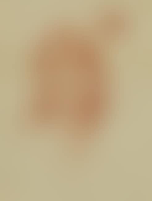 Indian Portrait (preview)