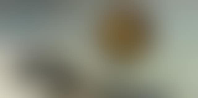 Which is Earth? D (preview)