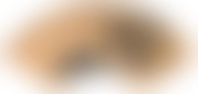 Landscape (preview)