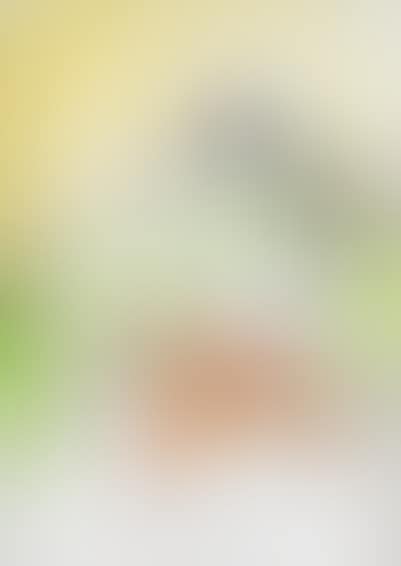 UNTITLED (preview)