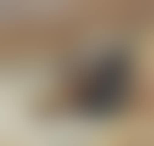 Study of a grouse (preview)