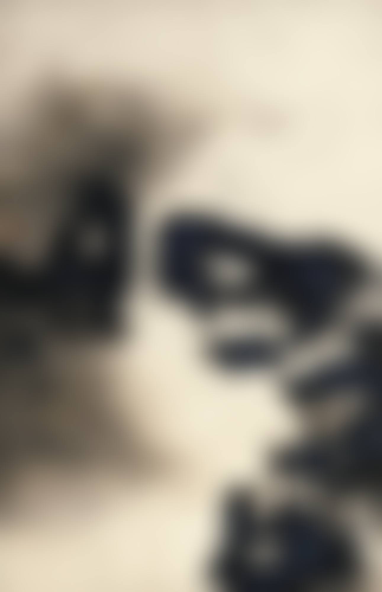 UNTITLED (preview)