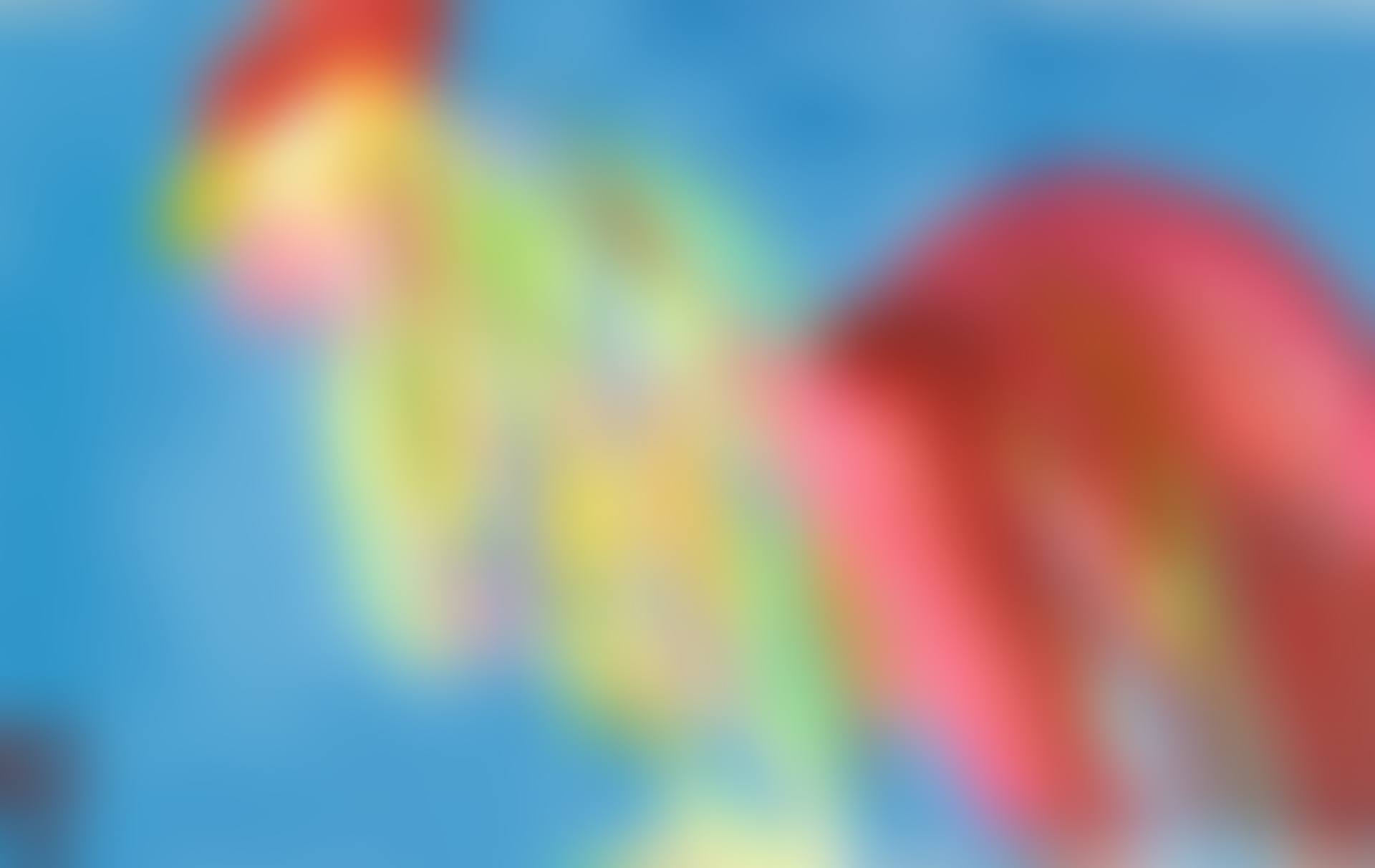 ROOSTER (preview)