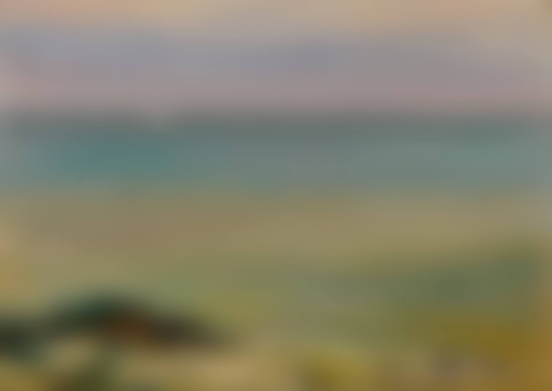 THE LITTLE WHITE SHIP (preview)