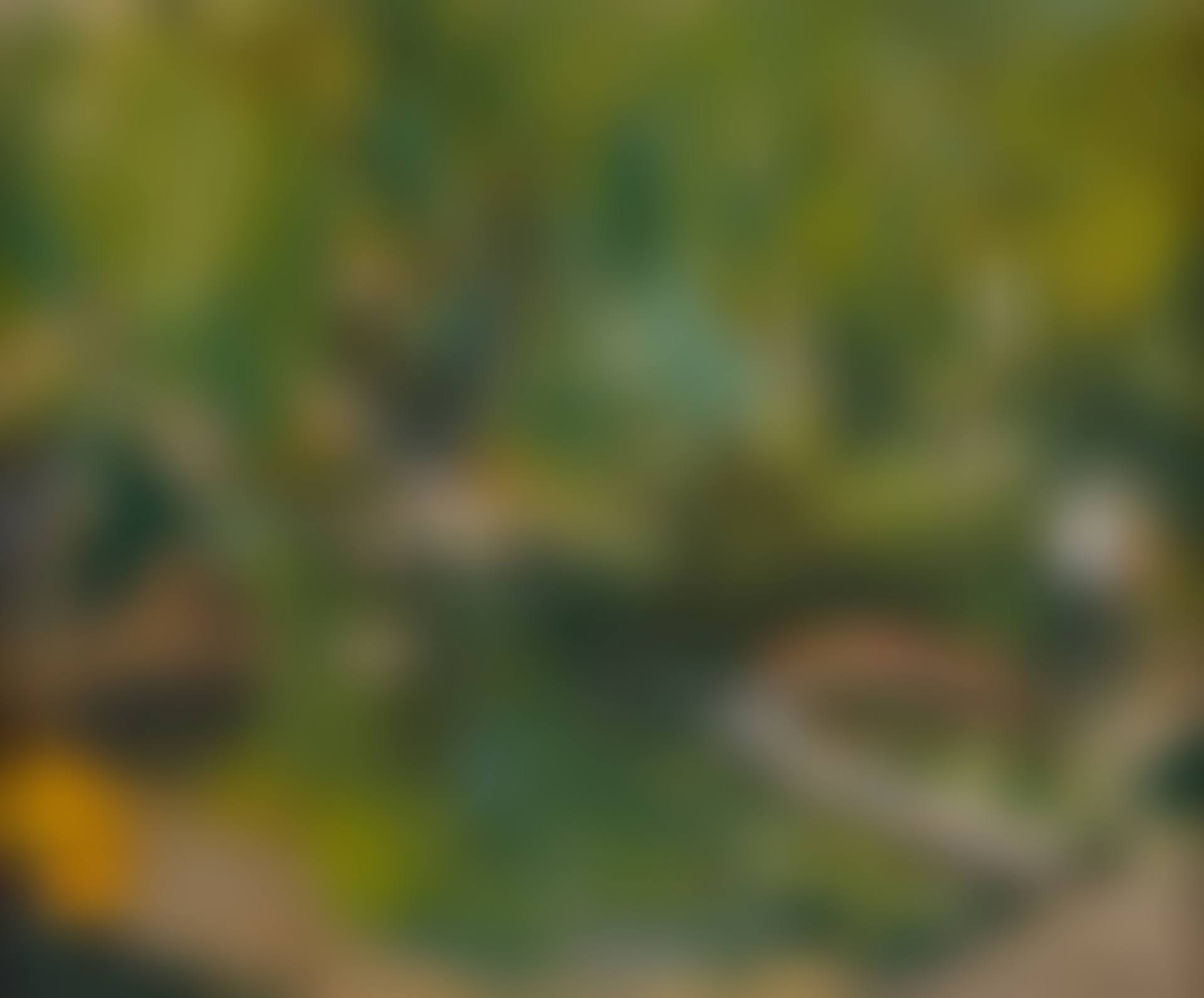 JAPANESE GARDEN (preview)