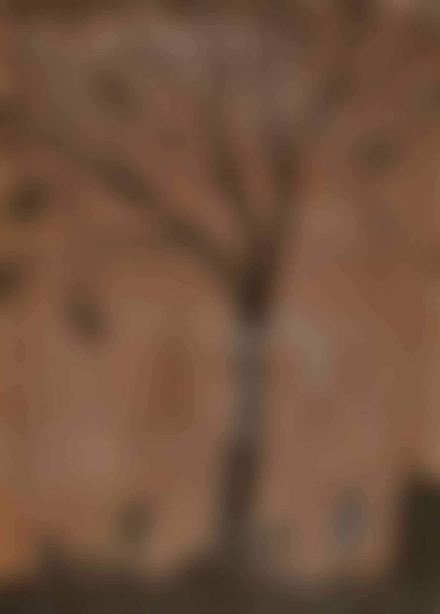 VORGESCHICHTE (preview)