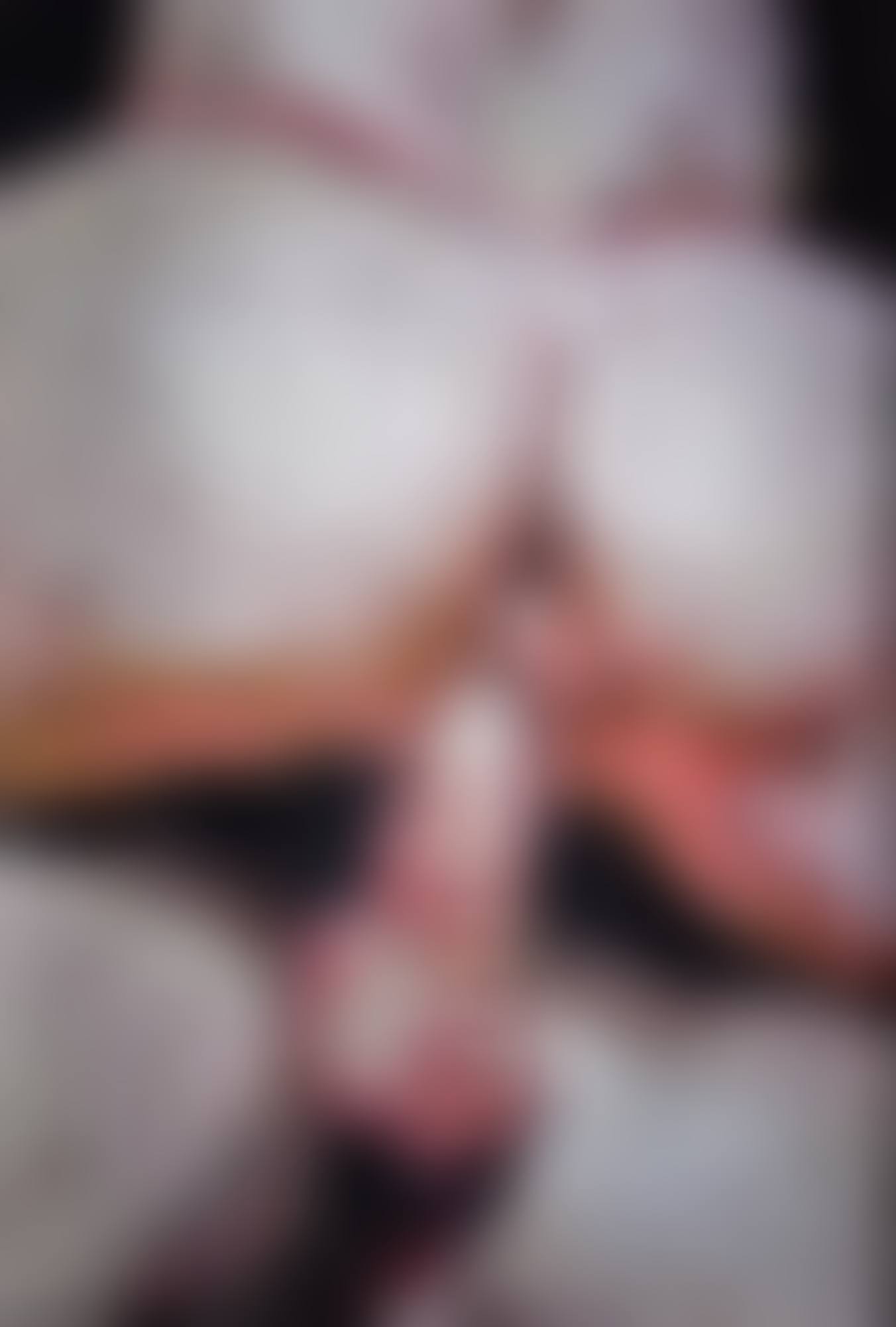 EROTICA 8 (PICTURES OF SILLY PUTTY) (preview)