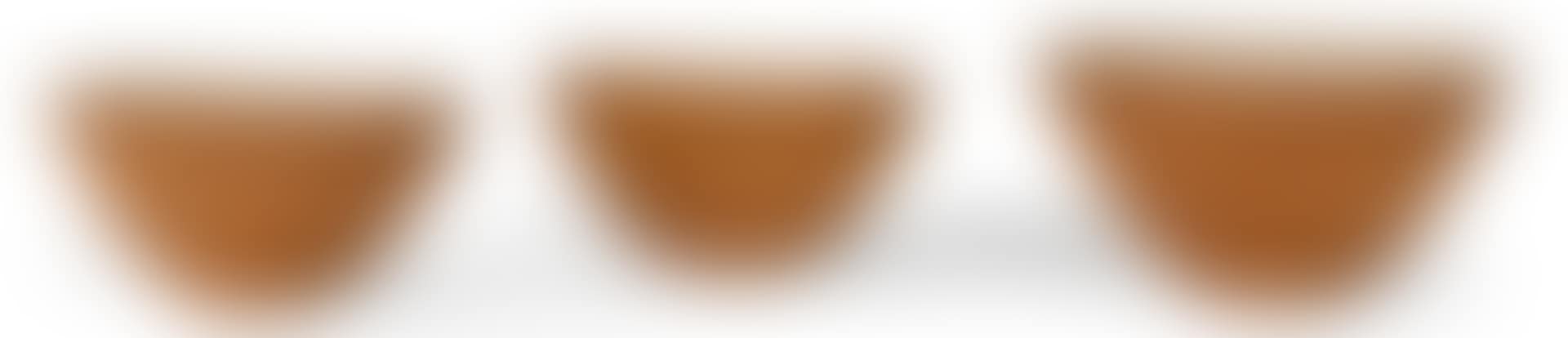 TRIO OF BOWLS (preview)