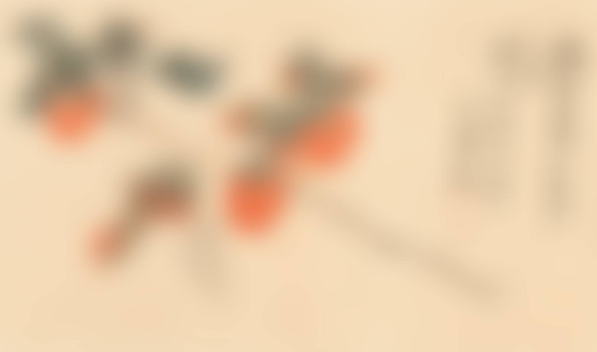 PERSIMMONS (preview)