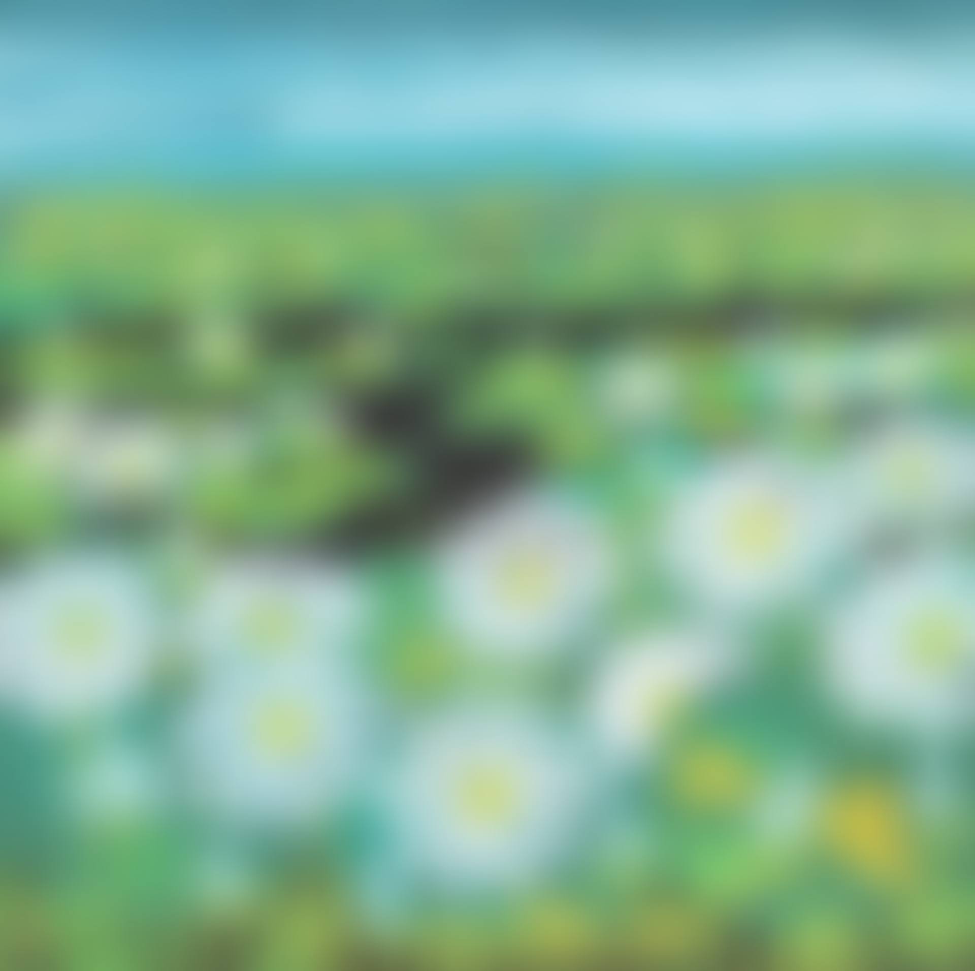 LOTUS (preview)