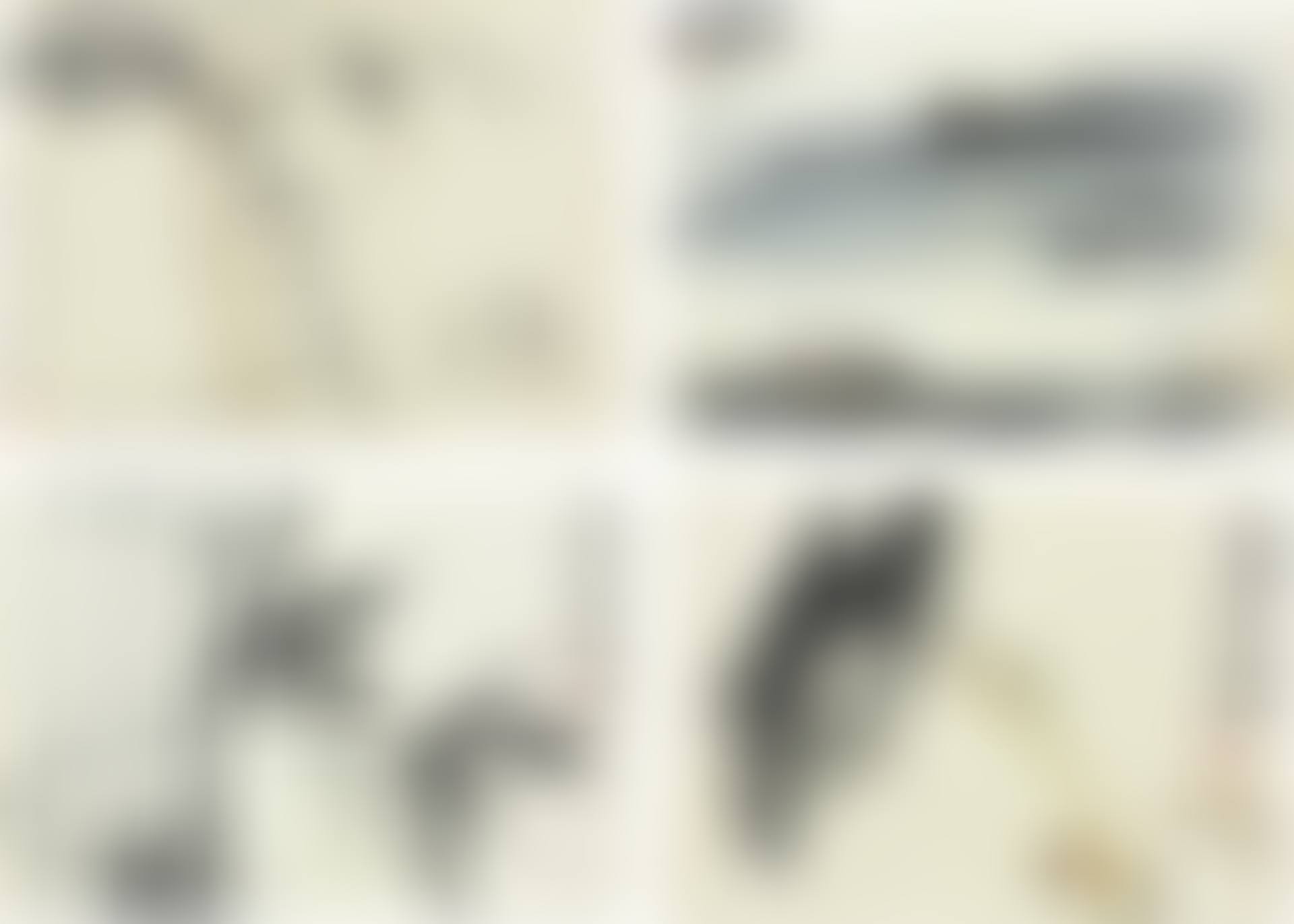 PAINTINGS AND CALLIGRAPHY DEDICATED TO DR. JI QIFANG (preview)