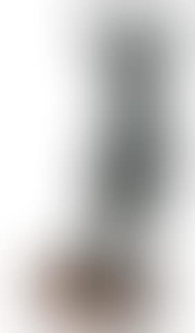 Figure (preview)