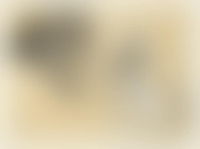 Couverture pour Les Courtes Joies (preview)