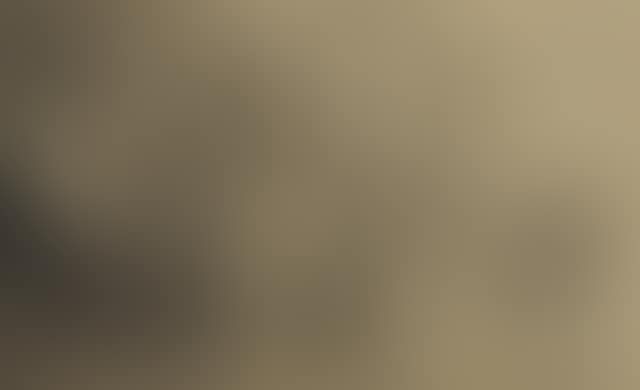 Selected Images (preview)