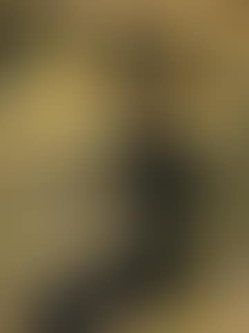 Divan Japonais (preview)