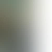 Gerhard Richter, Tate Modern (preview)