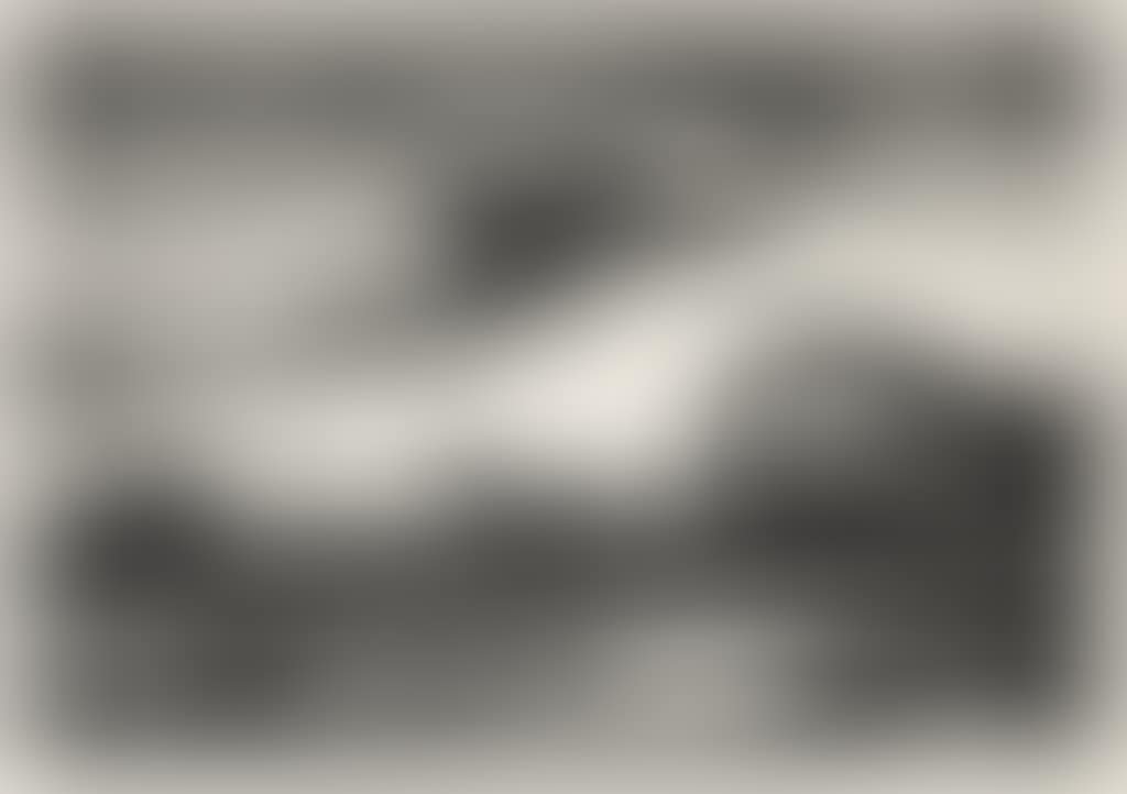 The Race (preview)
