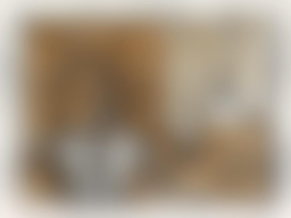 El Ermitaño (preview)