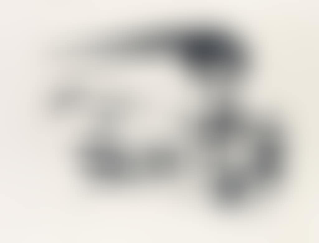 Pigeon Et Ses Petits (preview)