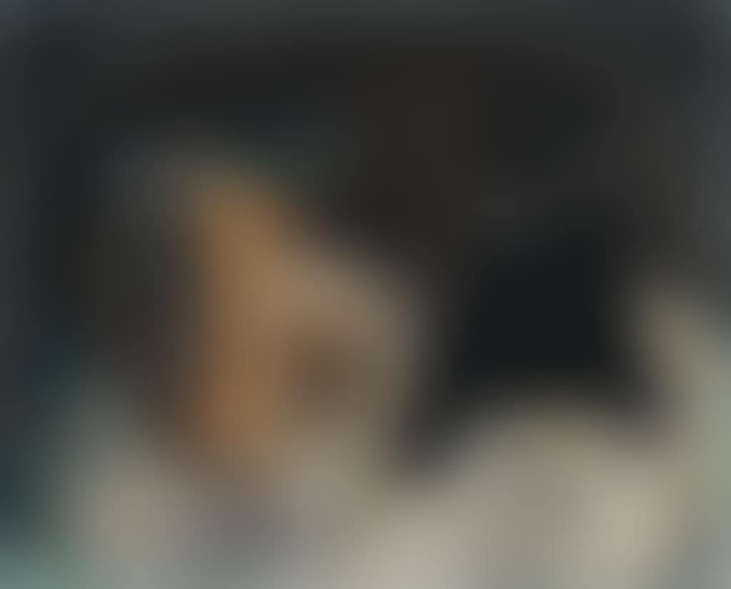 Pichet Et Oiseau (preview)