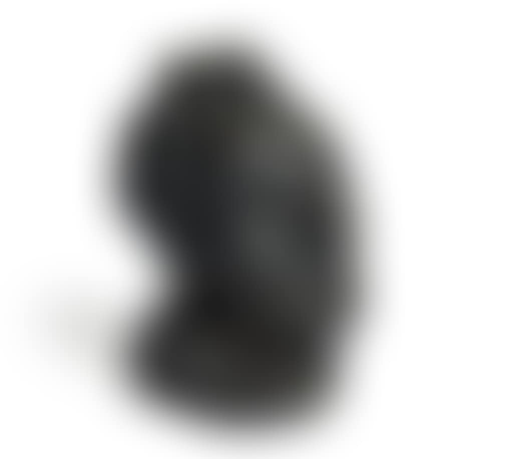 Selbstbildnis (preview)