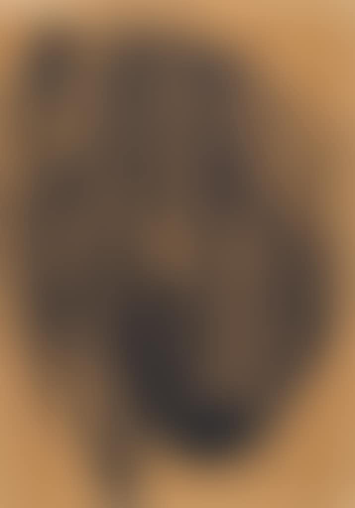 Mädchenkopf, Profil (preview)