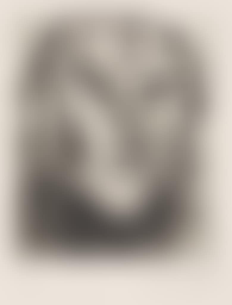Autoportrait Bouche Maison (preview)