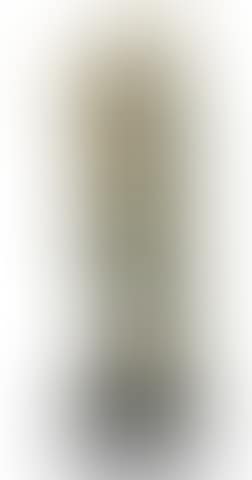Untitled (Vénus aux French Horns) (preview)