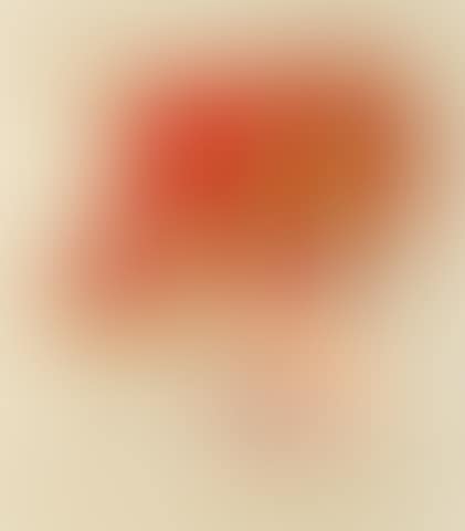 Lunna Wola (V), from the Paper Relief Project (preview)