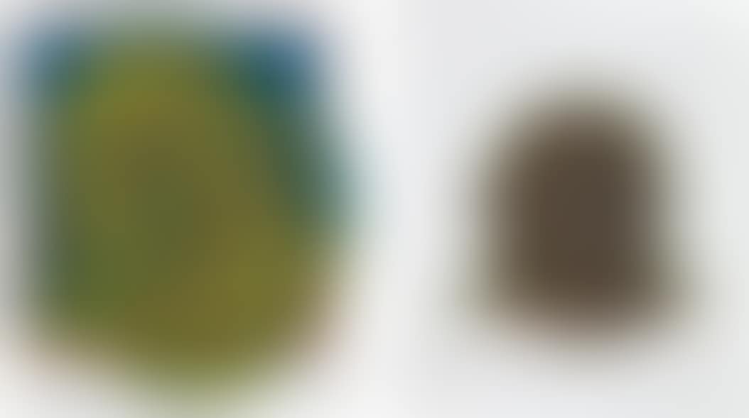 Two works: (i) Surprised Worker; (ii) Everyday Worker (preview)