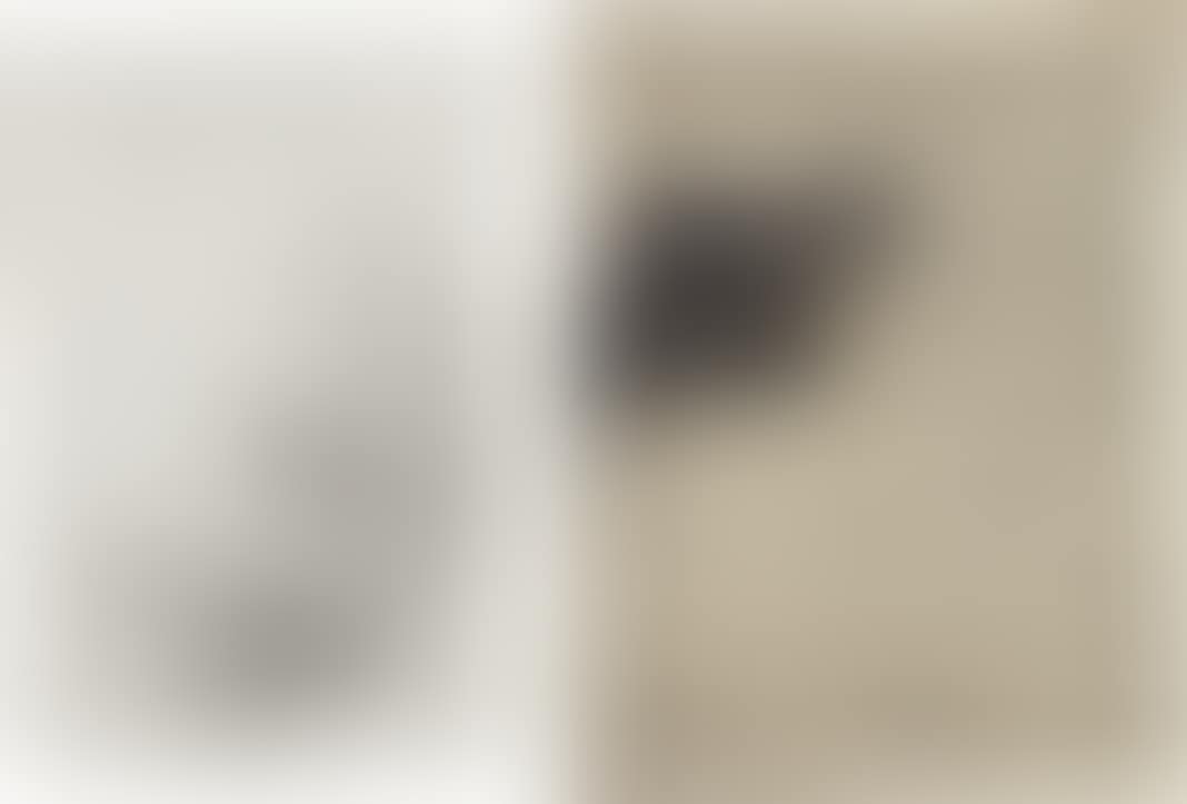 Two works: (i) Lingerie No. 1; (ii) M (preview)