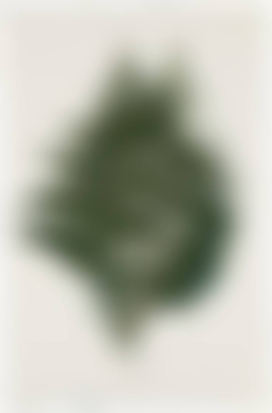 Fern (preview)