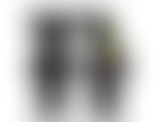 Companion (2 works) (preview)