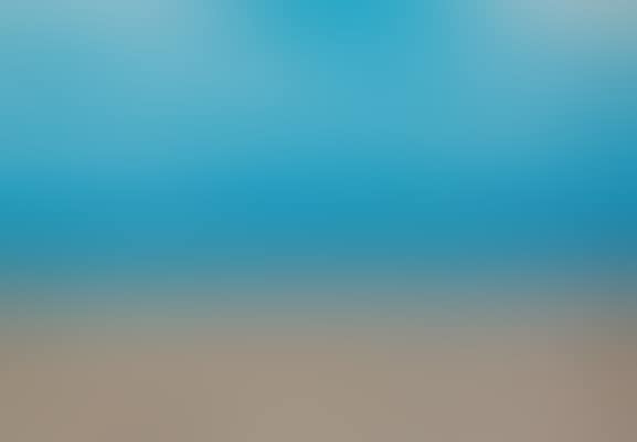 Camargue (preview)