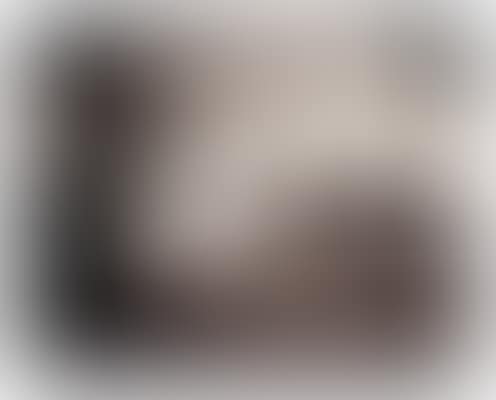 Notre-Dame (preview)