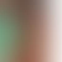 Conversation with the green donkey (preview)