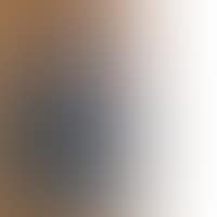 The painter (preview)