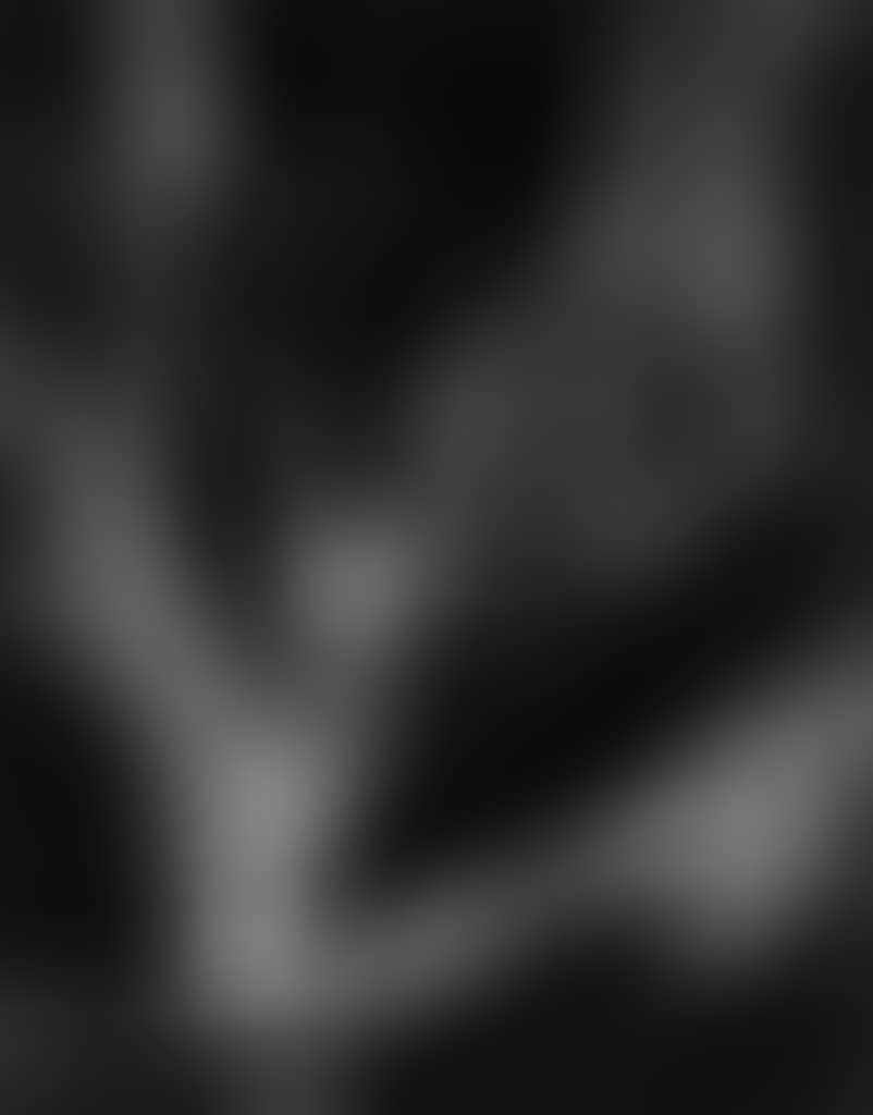 Sequoia Roots, Mariposa Grove, Yosemite National Park, California (preview)
