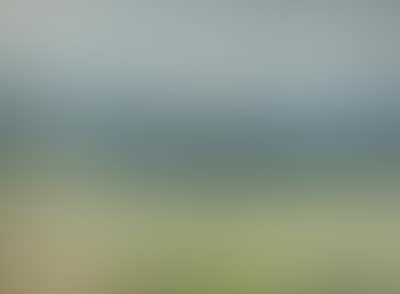 Motif from the Highlands (preview)