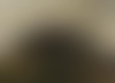 A Landscape with a Church (preview)