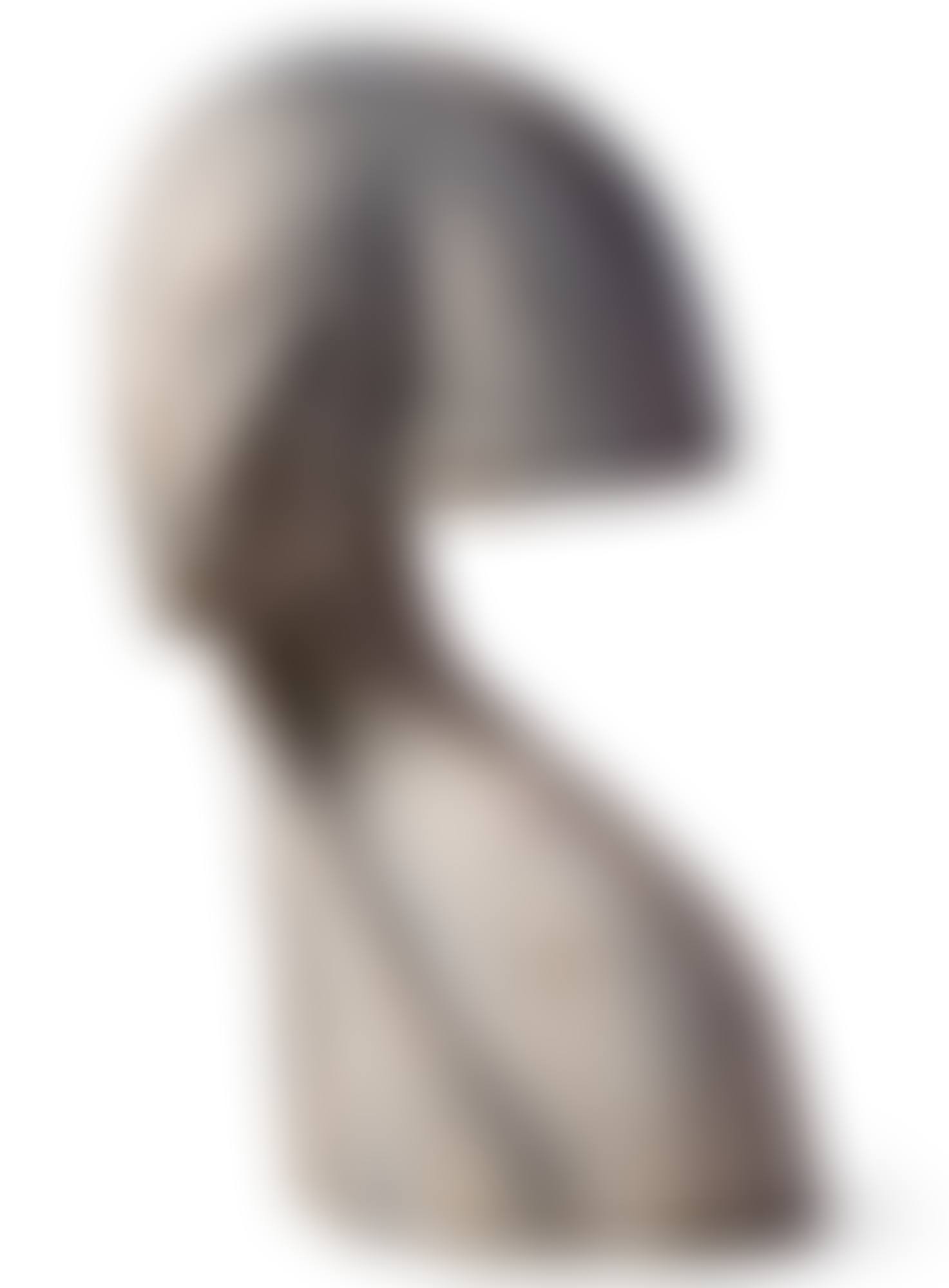 BUSTE DE FEMME (preview)