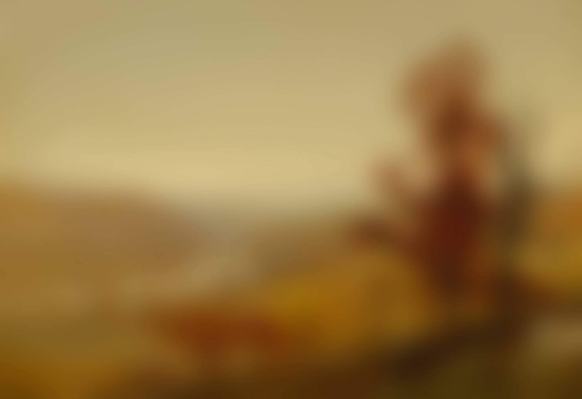 RIVER VALLEY LANDSCAPE (preview)