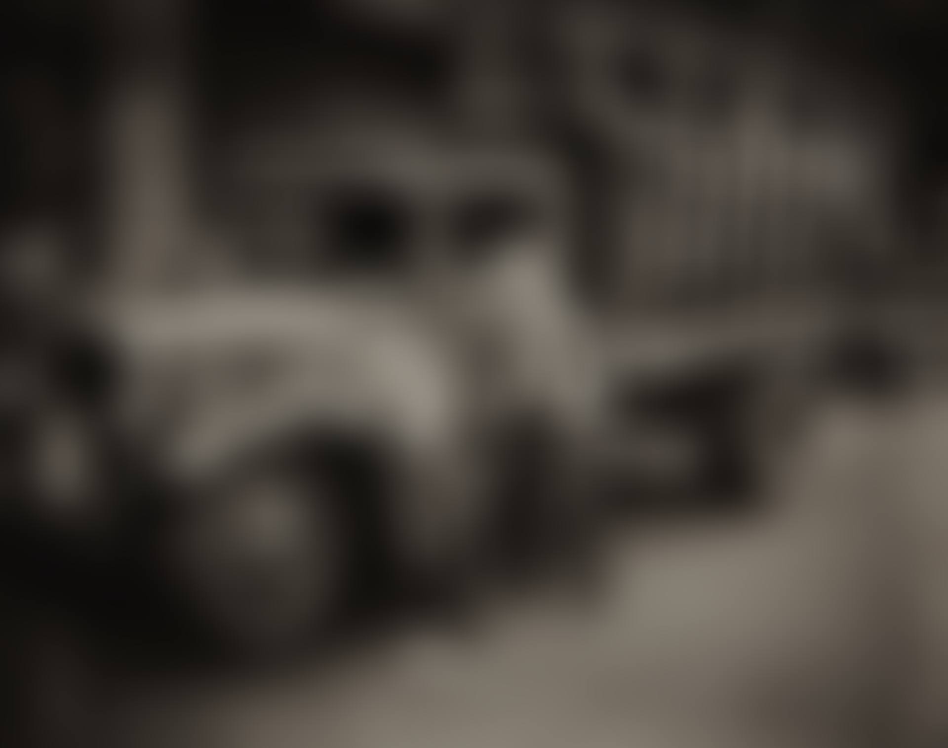 PALUMBO PUBLIC ICE-FUEL CORP. TRUCK, NEW YORK (preview)