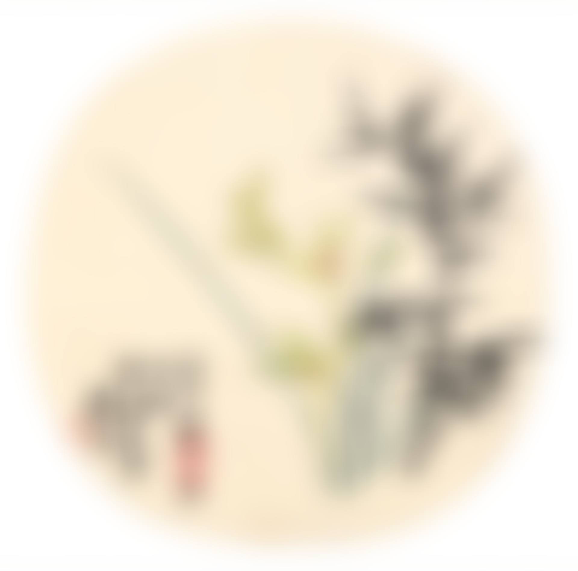ORCHID AND BAMBOO (preview)