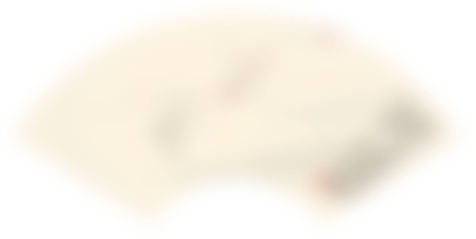 PLUM BLOSSOMS (preview)