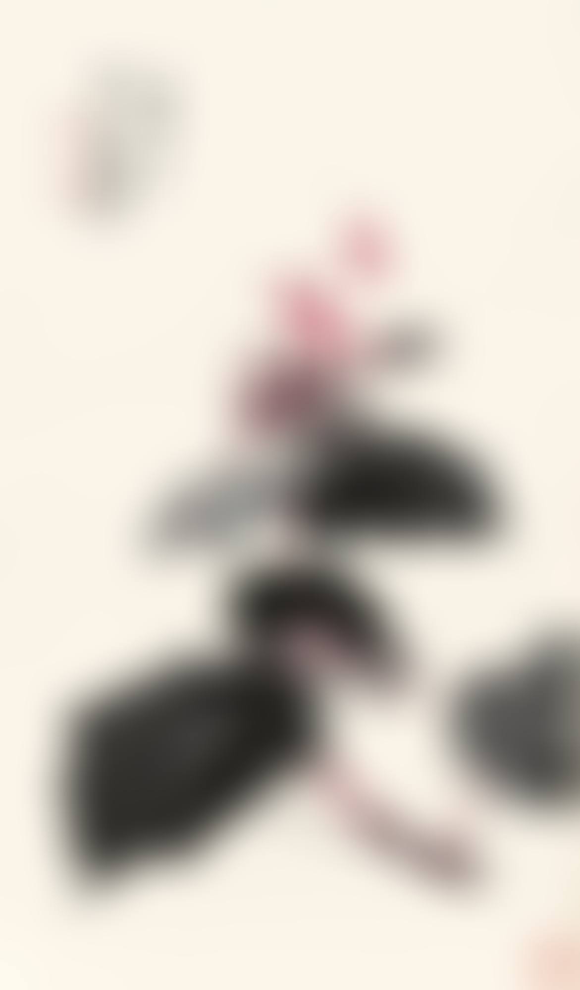 BEGONIA (preview)