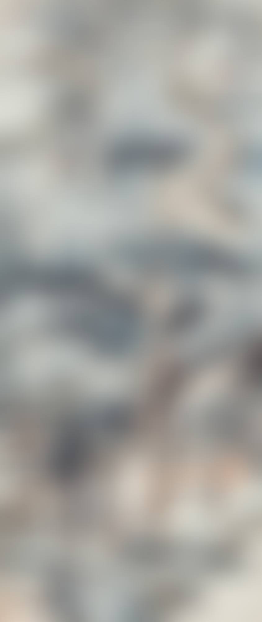 LANDSCAPE AFTER SHITAO (preview)