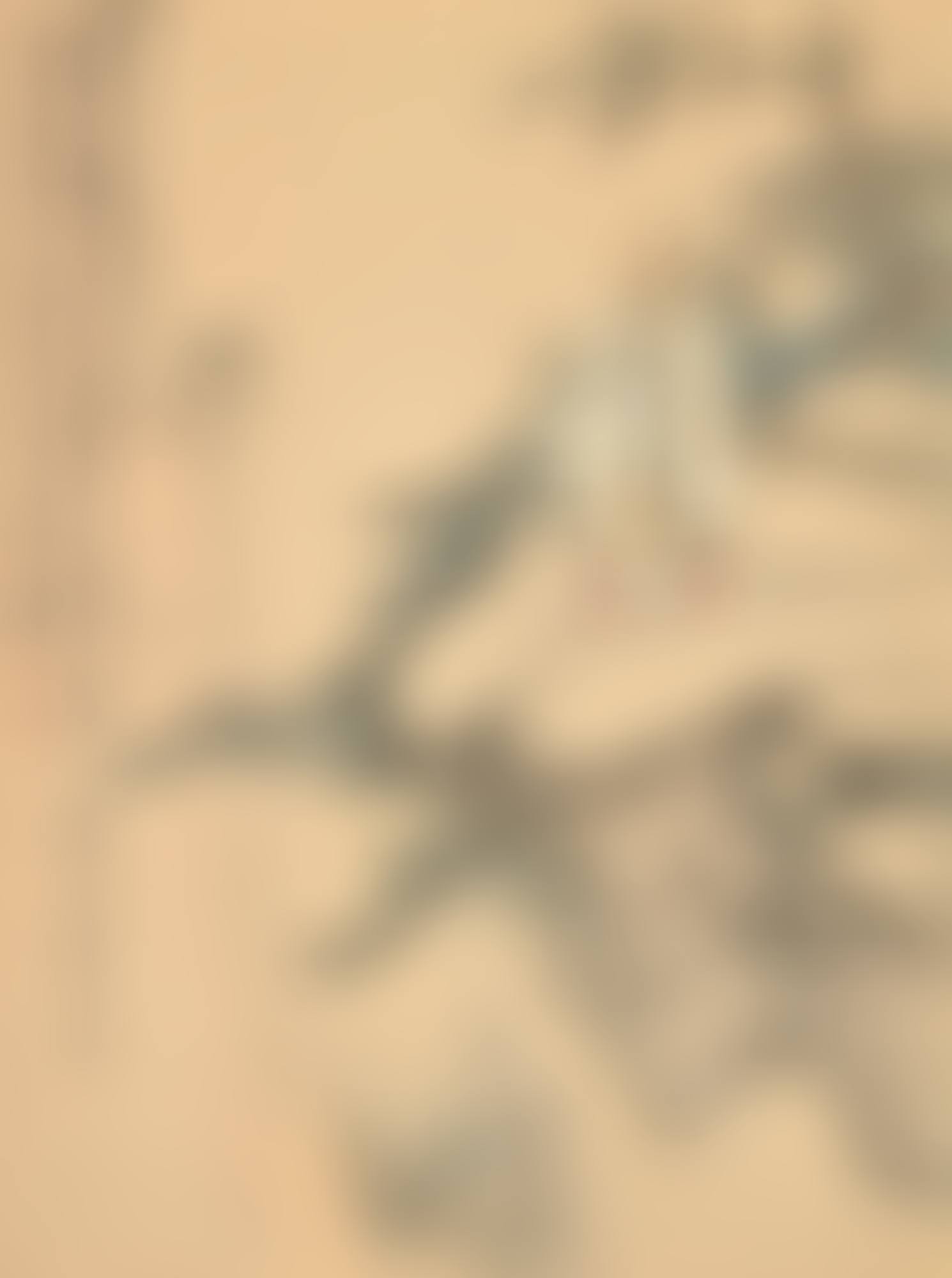 SCHOLAR BY THE PINE (preview)