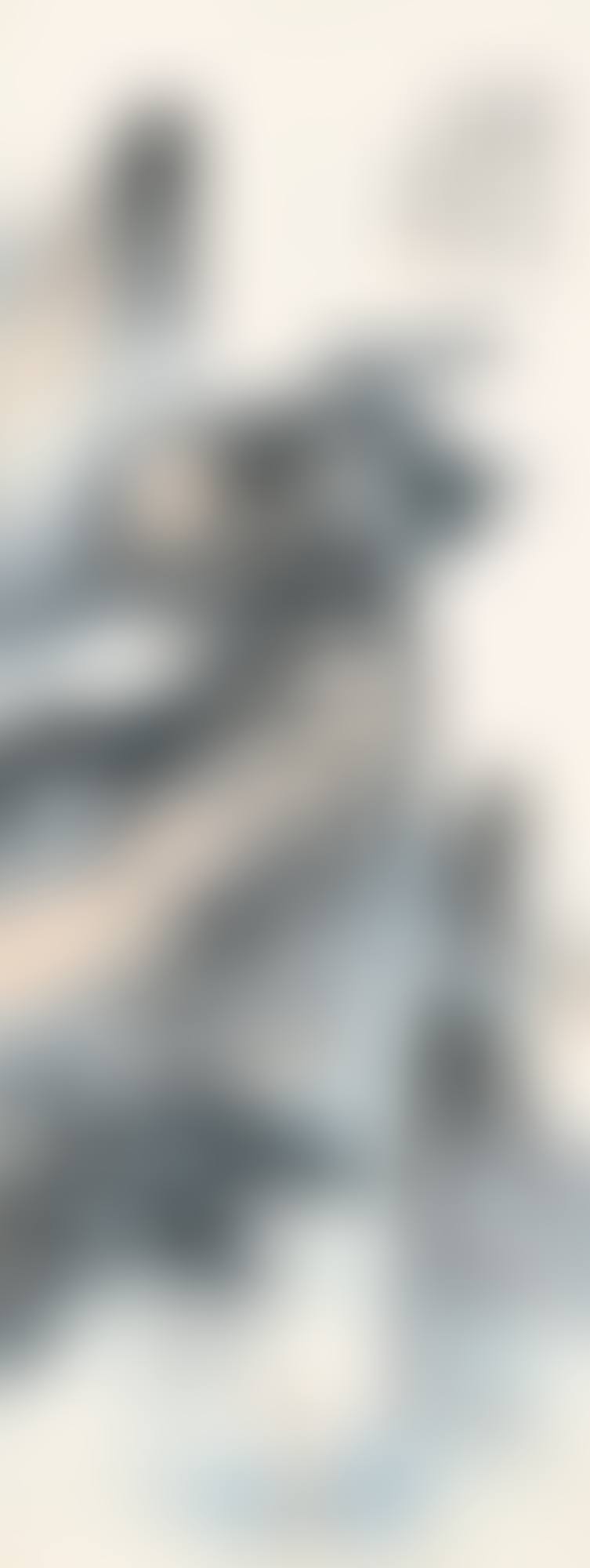 SCHOLAR BY THE CLIFF (preview)
