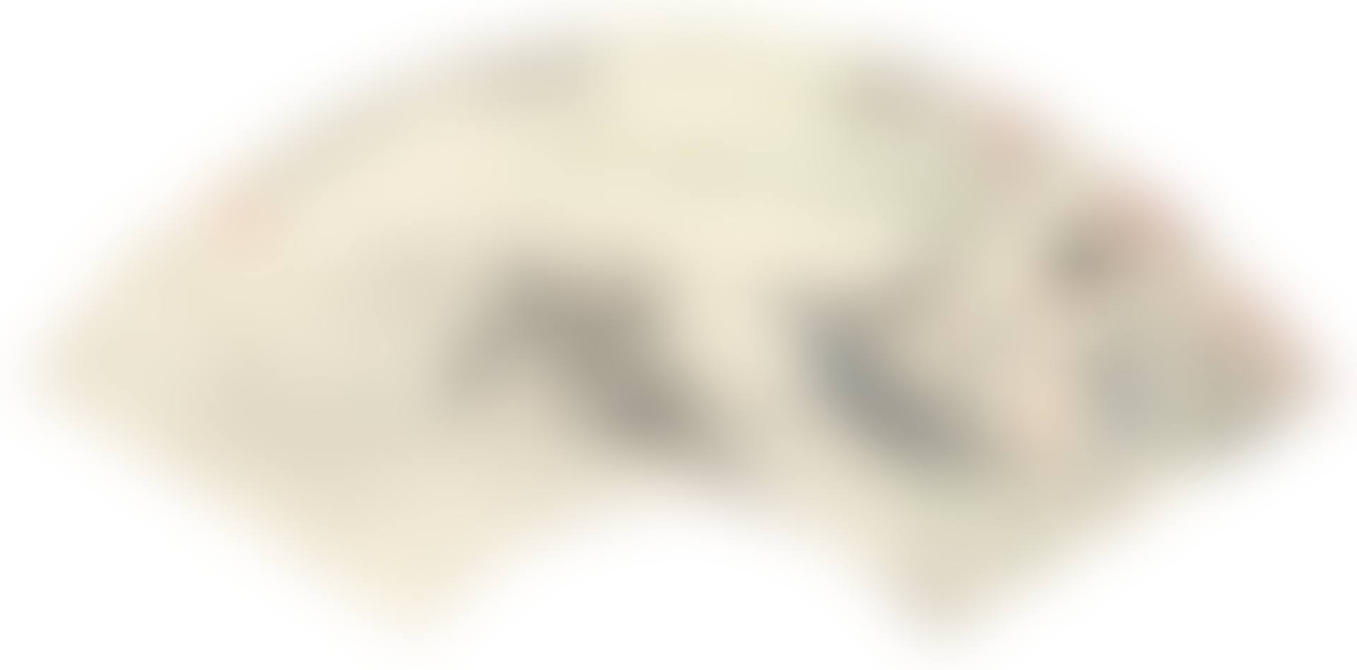 BUFFALO AND HERDBOY (preview)